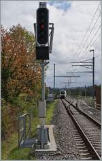  Laupen BE  ist weiterhin ein  Bahnhof , zu welchem es per Definition 1 Weiche braucht...

Blick auf den BLS MIKA RABe 528 119 der als S2 15247 Laupen verlässt. 

5. Okt. 2024