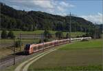 Traverso RABe 526 113, RABe 526 001 'Bachtel' und RABe 526 002 'Calanda' unterwegs Richtung Olten.