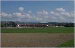 Ein SBB RABe 523 als S-Bahn von Sursee nach Zug am Sempacher See zwischen Nottwil und Sempach Neuenkirch.