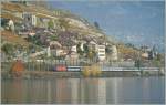 Bunter Herbst im Lavaux bei St Saphorin.