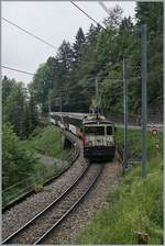 Die MOB GDe 4/4 6006 mit dem GoldenPass MOB Panoramic Montreux - Zweisimmen PE 2118 kurz nach Sendy-Sollard.