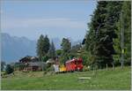 Ein kleiner Zug auf grosser Fahrt: Der RhB Bernina Bahn ABe 4/4 I N° 35 der Blonay Chamby Bahn ist mit dem Bernina Bahn As2 und dem MOB B4 N° 61 (beide auch Blonay-Chamby) als  Valrose Nostalgie Express  kurz vor Les Avants auf der Fahrt von Montreux nach Rougemont. 


15. Juni 2025