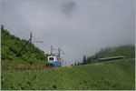 Der Rochers de Naye Bhe 2/4 203 auf dem Weg zum Rochers de Naye kurz nach Jaman.