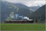 Die Blonay-Chamby HG 3/4 N° 3 im Goms mit ihrem Dampfzug Oberwald - Reckingen.

16. August 2014