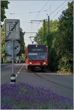 Der asm GTW Be 2/6 509 erreicht sein Zielbahnhof Biel/Bienne.