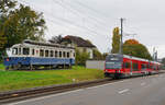 Kurz nach Verlassen des Bahnhofs Ins Dorf fahren die Be 2/6 510 und 503 am 11.10.2025 am ehemaligen BTI-Triebwagen BDe 4/4 5, später BRe 4/4 516 und heute Restaurant  Ankerstube , vorbei