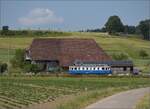 Das Blaue Bähnli BDe 4/4 36 fernab der Heimat am Löffelhof beim Bahnhof Lohn-Lüterkofen.