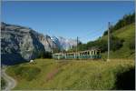 Von Lauterbrunnen (Kursbuchfeld 311) und von Grindelwald (Kursbuchbfeld 312)fährt die 80 cm spurige  Wengeneralpbahn  auf die Kleine Scheidegg.