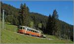 Der BLM Be 4/4 21 kurz nach der Abfahrt in Gütschalp auf dem Weg nach Mürren.