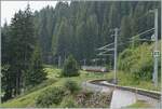 Der BLM Be 4/4 31  LISI  ist zwischen Winteregg und Grütschalp als Regionalzug R 66 (Mürren Grütschalp) unterwegs. 

8. Aug. 2024
