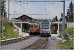 In Winteregg kreuzen sich der neue Be 4/6 101  Eiger  auf der Fahrt nach Mürren und der Be 4/4 31  Lisi  unterwegs von Mürren nach der Grütschalp .

8. August 2024