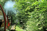 Aus dem Zug, Brienzer Rothorn Bahn im Aufstieg nach Planalp.