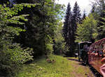 Hinter Lok 14 im Abstieg von Geldried nach Brienz.