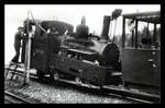 Die Originallokomotiven von 1891/92 der Brienz Rothorn Bahn: Lok 3 auf der Planalp, 21.Juli 1961 .