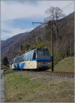 Aussergewöhnlich kurz zeigt sich dieser SSIF Treono Panoramico 53 von Domodossola nach Locarno zwischen Tegna und Ponte Brolla: statt vierteilig waren nur die beiden Triebwagenköpfe ohne