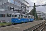 Der AVA BDWM BDe 4/4 10  Mutschälle-Zähni  (SWS/MFO 1928) erreicht als Fondue Tram im Rahmen des Weihnachtmarktes von Bremgarten den Bahnhof von Bremgarten. 

6. Dez. 2024