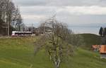 Ein unbekannter Be 4/8 fährt am 16.03.2018 die Speicherstraße hinunter nach St. Gallen, im Hintergrund der Bodensee und das deutsche Bodenseeufer