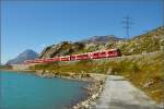 Am Lago Bianco entlang fährt Allegra ABe 8/12 3515  Alois Carigiet  mit dem Regionalzug.