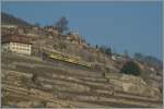 Der Train des Vignes bei Chexbres am 1.