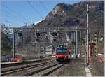 Zwei SBB Domino Züge auf der Fahrt nach Domodossola unter der Signalbrücke von Varzo.