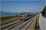 Ein SBB RBDe 560 Domino als Regionalzug auf der Fahrt Richtung Lausanne kurz vor La Conversion.