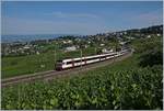 Zwei SBB RBde 560-Domino-Züge auf der Fahrt in Richtung Bossière in den Weinbergen des Lauvaux.