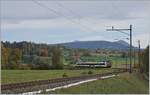 Der SBB RBDe 560 224-8 (UIC RBDe 560 DO 94 85 7 560 224-8 CH SBB) von Palézieux nach Payerne erreicht in Kürze den Halt Palézieux Village.