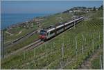 Ein SBB Domino ist auf der  Train des Vignes -Strecke oberhalb von St-Saphirn im Einsatz.