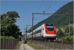 Erst auf den zweiten Blick offenbart dieses Bild eine kleine Besonderheit: Es zeigt den SBB ICN RABDe 500 004  Mani Matter , welcher als erste komplett erneuert wurde. 

Der Zug ist mit einem weitern ICN bei Ligerz kurz nach dem Übergang auf Doppelspur auf dem Weg nach Lausanne. 

11. Juli 2025
