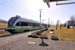 Le Crêt-du-Locle: Ankunft des Flirt 523 075 im niedlichen Bahnhofsbereich.