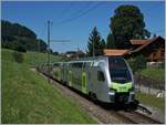 Der BLS RABe 515 002 verkehrt als Regionalzug Interlaken Ost - Spiez und erreicht Faulensee.