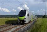 Fernverkehrstag auf der Altstrecke.

Mutz RABe 515 039 bei Bettenhausen. Juni 2023.