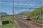 Ein RE von Frasne nach Neuchâtel erreicht Auvernier.