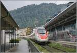 Ein SBB RABe 503  Pinocchio  auf dem Weg in Richtung Lindau Reutin fährt durch den Bahnhof Bregenz Hafen, welcher eigentlich nur ein Teil des Bahnhofs von Bregenz ist.