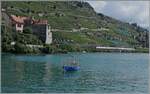 Es muss nicht immer das Château de Chillon sein... In Rivaz, beim Château de Glérolles tuckert ein Fischerboot vorbei, so dass der Zug im Hintergrund schon fast zur Nebensache wird, obwohl die SBB RABDe 502 hier eher wenig zu sehen sind.

19. August 2024