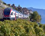 RABe 511 104 als RE Vevey - Genve am 19.10.2013 bei St-Saphorin