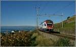 SBB RABe 511 111 als RE auf der Fahrt nach Genve.