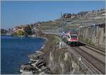 Der SBB RABe 511 020 ist im Umleitungsverkehr als RE bei Rivaz am Genfer See unterwegs. 

20. März 2021