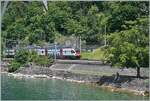 Fotostelle Schiff - kurz vor Villeneuve konnte dieser RABe 511 als RE33 auf dem Weg in Richtung Wallis fotografieren.

31. Mai 2025