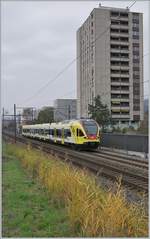 Nur 10 Minuten am Bahndamm gestanden... Kaum war der ICN in Richtung Lengnau aus dem Blickfeld verschwunden taucht der SBB RABe 521 117 im Werbeanstrich auf. Der Flirt ist als Regionalzug 7621 von Biel/Bienne nach Solothurn unterwegs und befindet sich hier zwischen Lengnau und Grenchen Süd.

11. November 2020