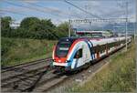 Der SBB LEX RABe 522 222 und ein weiterer sind als L�man Express RL5 auf der Fahrt von La Plaine nach Gen�ve. Das Bild entstand zwischen dem Cargo Bahnhof Vernier Meyrin und Vernier. Die SBB Strecke ist mit dem franz�sischen Spannung von 25000 Volt 50 Hertz elektrifiziert, da sie im Fernverkehr von den SNCF Z�gen genutzt wird. 

1. Juni 2026