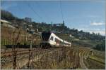 Und noch ein SBB Flirt RABe 523 im Lavaux, zwischen Grandvaux und Bossière.