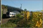 Herbstfotografie heisst für mich auch immer Gegenlichtfotografie: Ein SBB Flirt RABe 523 bei Cully auf dem Weg nach Villeneuve.