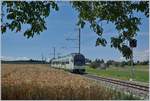 Der Kanton Waadt (VAUD) bietet mit Jura, Mittelland und Alpen nicht nur landschaftlich eine interessante Vielfalt, sondern auch im Bahnverkehr: Von einem schattigen Plätzchen im Schutze eines