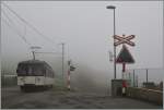 Während das Bipperlisi den Nebel wohl gewohnt ist, ich bin es nicht mehr und es war nicht einfach, bei der Bildgestaltung auf See und Berge zu verzichten...