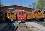 50 Jahre Blonay Chamby - MEGA BERNINA FESTIVAL: Unter dem Titel  Aligenment  fand in Chaulin eine Aufstellung der Bernina Fahrzeuge statt.