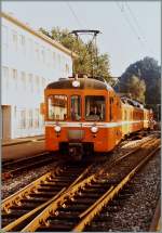 Der WSB Regionalzug 113 von Aarau nach Menziken Burg bei der Ausfahrt in Teufenthal.