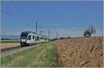 Der LEB RBe 4/8 N° 48 ist als R20 zwischen Bercher und Fey auf dem Weg nach Cheseaux mit Anschluss nach Lausanne per SEV infolge Sommerbauarbeiten. Die 24 km langen Strecke der LEB beginnt in der  Grossstadt  Lausanne und endet im ländlichen, wenig dicht besiedelten Bercher im Gros-de-Vaud, der Kornkammer des Kanton Waadts. 


12. Juli 2025 
