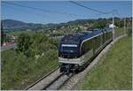 Und auf der Rückfahrt: Der MVR ABeh 2/6 7504  VEVEY  zwischen Planchamp und Châtelard VD und Planchamp auf der Fahrt von Sonzier nach Montreux.