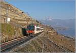 Ein RBDe 560 Domino auf der Fahrt von Vevey nach Puidoux auf der  Train de Vignes  Strecke oberhalb von St-Saphorin.